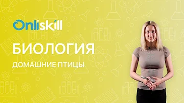 БИОЛОГИЯ 7 класс: Домашние птицы