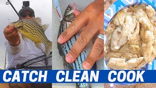 How to Catch Clean and Cook Yellow Bass // Canyon Lake AZ