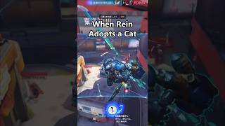 When Rein Adopts a Cat - Overwatch