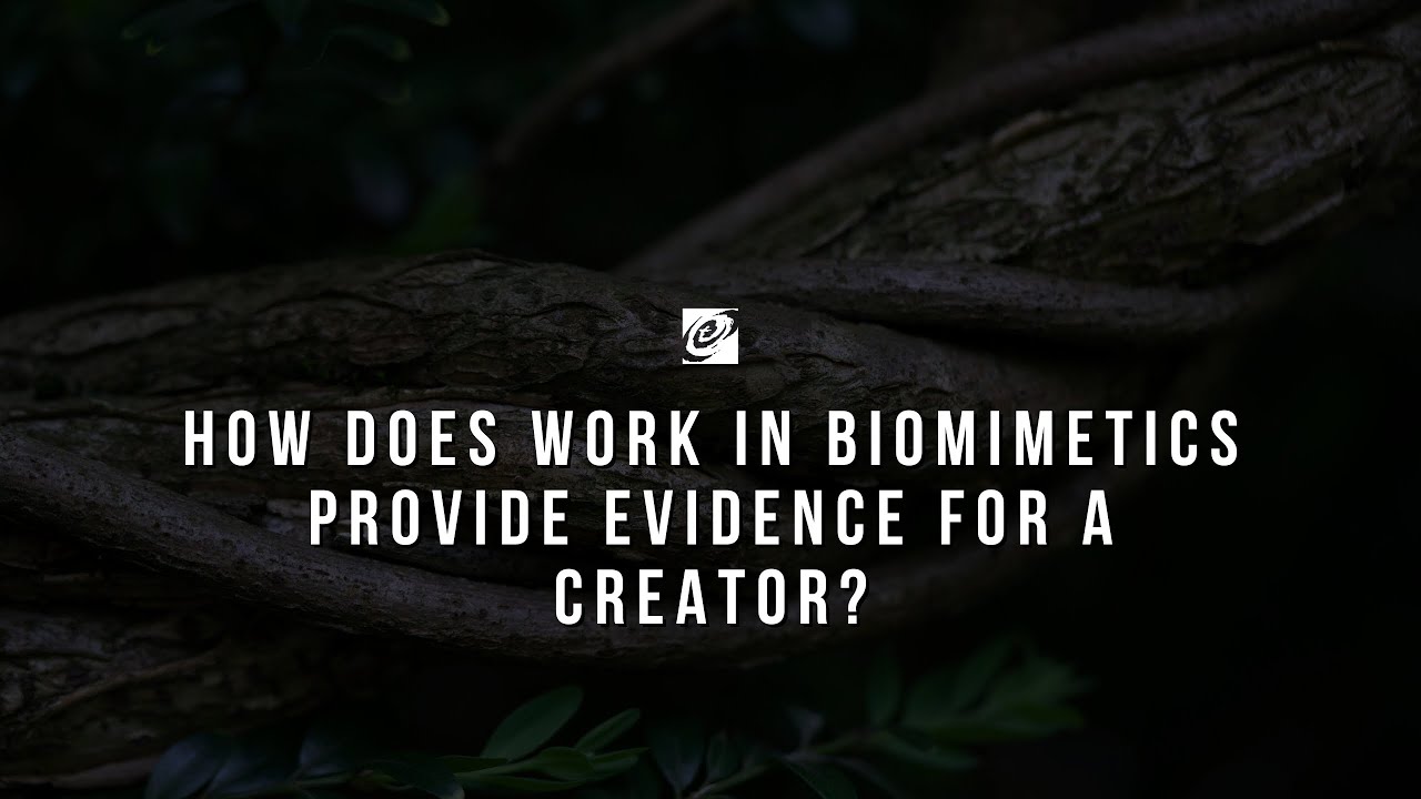 How Does Work in Biomimetics Provide Evidence for a Creator? - YouTube