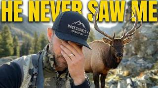 Re-Cap on one sneaky hunt for this Bull