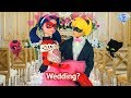 Wedding LADYBUG Cat Noir Valentine's Day Love Fashion Show Miraculous Ladybug Season 3 Doll Episode