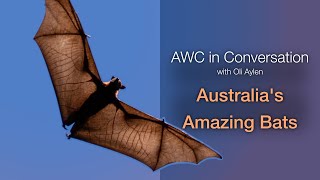 AWC in Conversation: Australias Amazing Bats with Oli Aylen (S6E5) @AustralianWildlifeConservancy