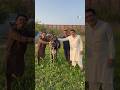 Good news #zkp #youtubeshorts #shortvideo #funny #viral #trendingshorts #comedy