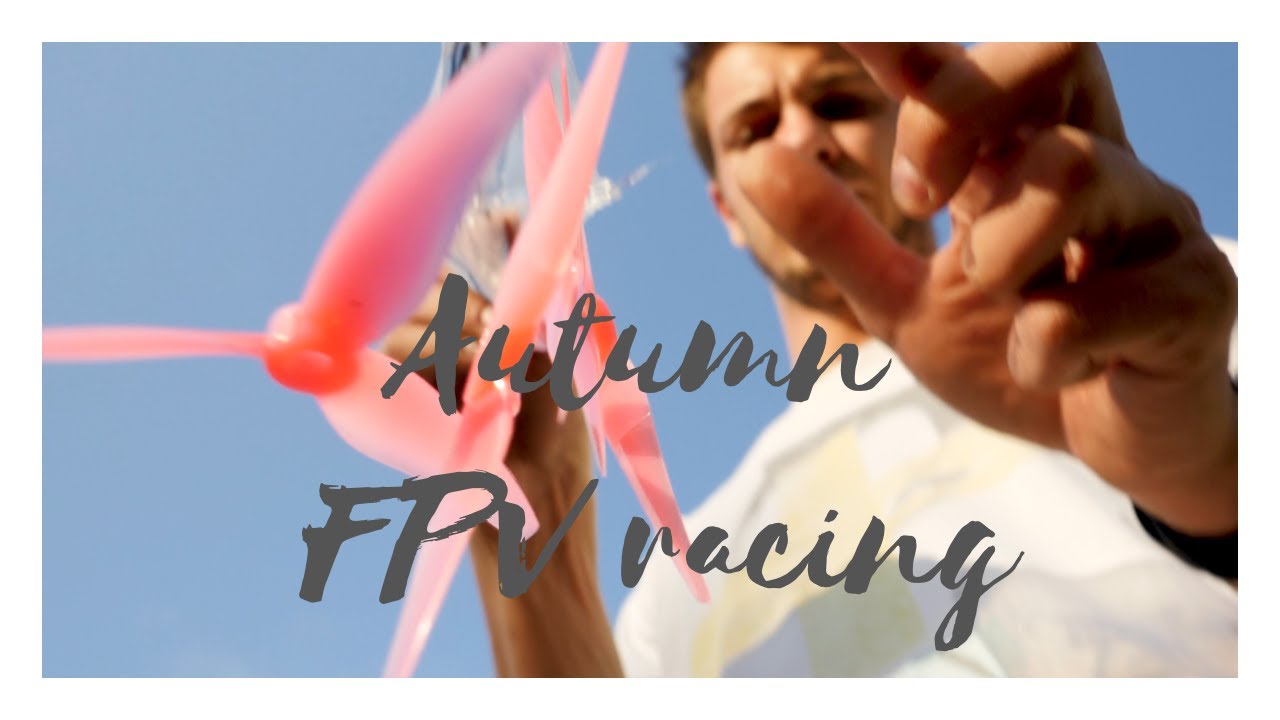 Source V  / Xnova LR 2207 / gemfan 51466  | spaglFPV