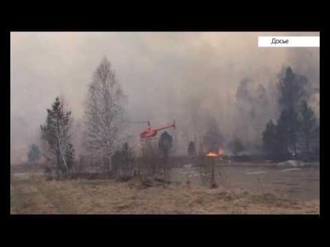 Лесных пожаров станет меньше новые технологии пожаротушения