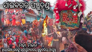 Astta danda (vilej saebagada) Maa kali 🌺 🥹 🙏🏻#1Msubscribe #watch time#trending #shorts screenshot 4