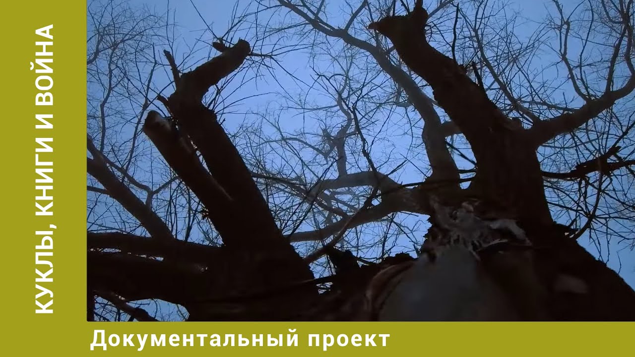 Куклы, книги и война. Документальный Проект. Лучшие фильмы