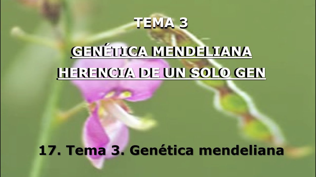 20- Tema 3. Genética Mendeliana. Genética (Cód. 2030)