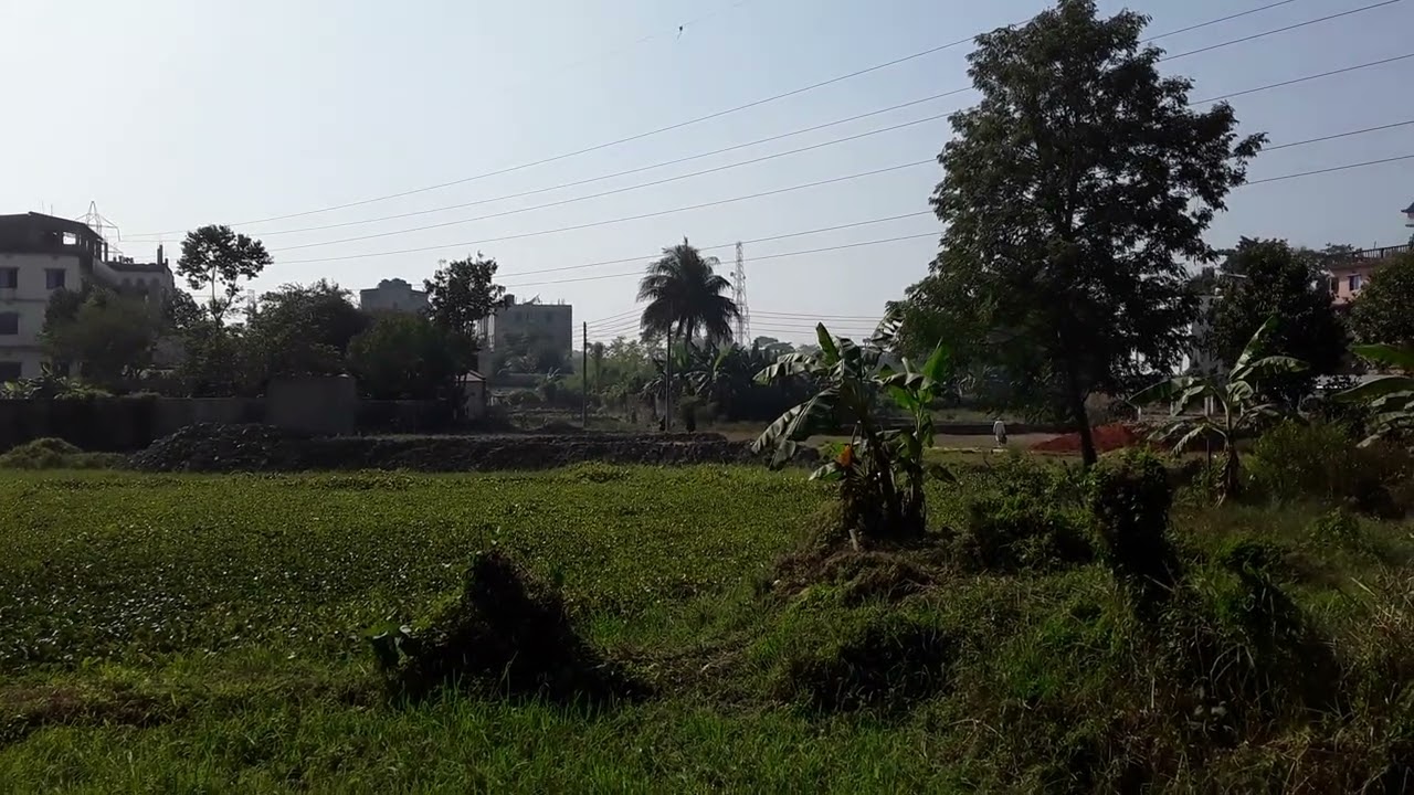 প্রকৃতি 