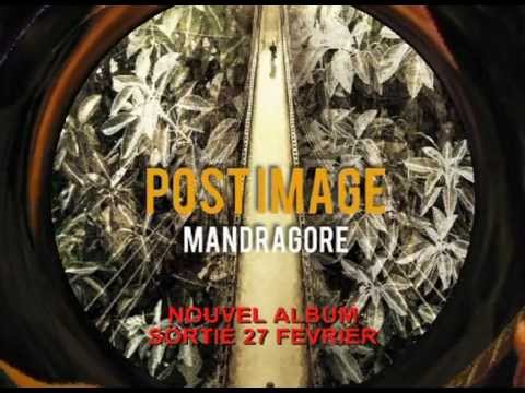 Teaser - POST IMAGE - "Mandragore"