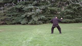 Details Advance Fut Gar Form - Tuern Jung - Elbow Form  -   Online for Free   Harry Tse Update