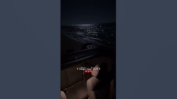 تلاوة هادئة تريح القلب
