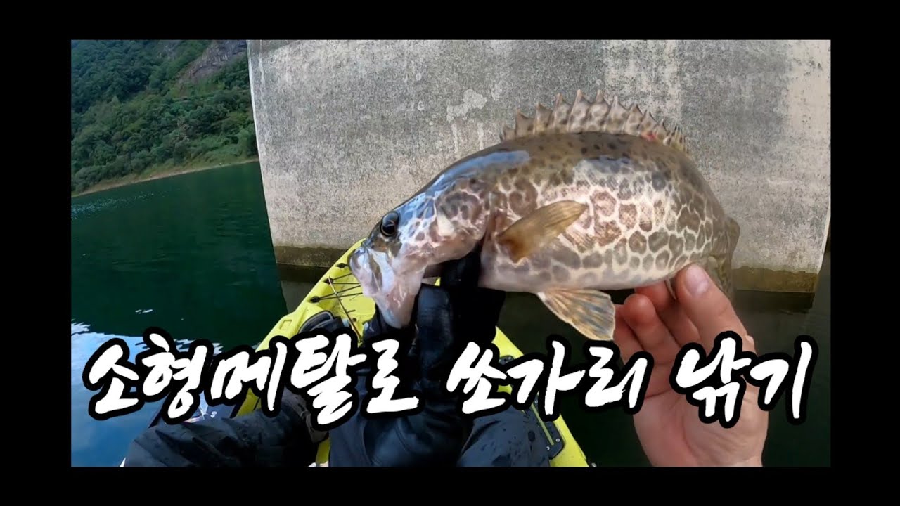 메탈지그로 빵좋은 가을쏘가리 낚기 | 남루 현프로