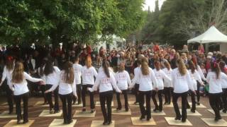 2016 Winterfest - Live Performances