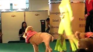 MVI_6036.AVI