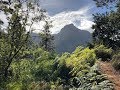 La Palma: Wanderung durch die Angustias-Schlucht