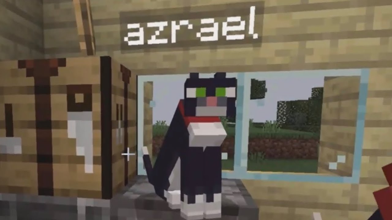 WE TRY TO RESCUE MY CAT AND IT DIDNT END WELL :( [Minecraft #6]