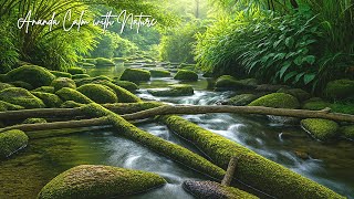 Relaxing Music to Ease Anxiety, Overthinking, and Mental Fatigue Before Sleep