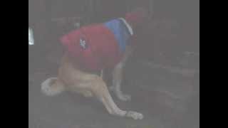 20070111 0700 足、すべるんです