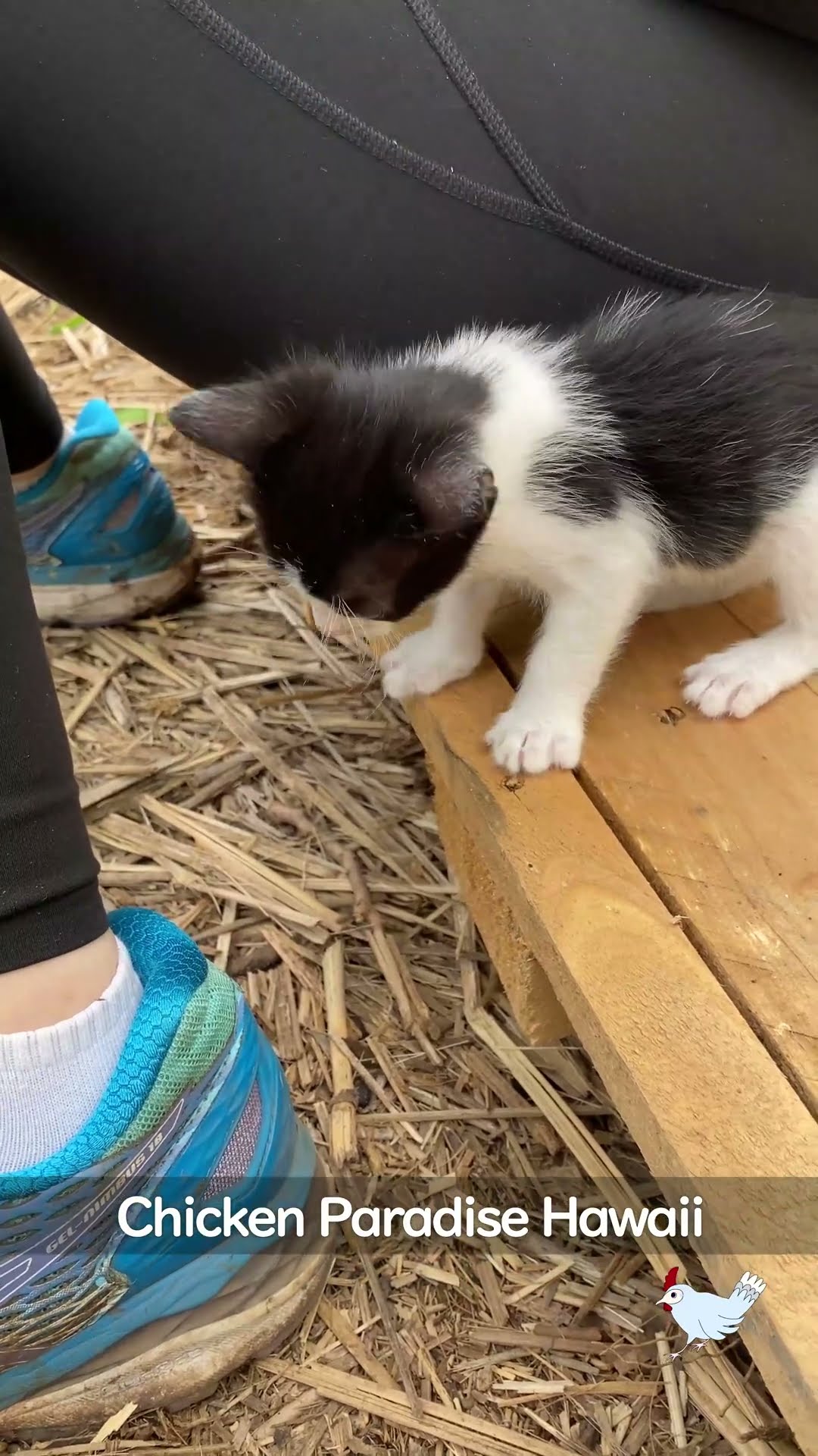 Can't get down