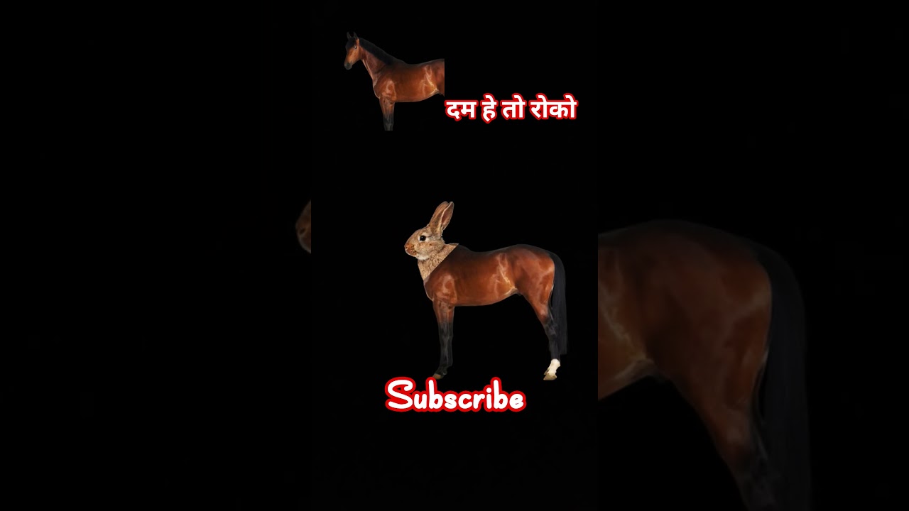 puzzle 🧩🧩🧩🧩🧩🧩 puzzle games for free 