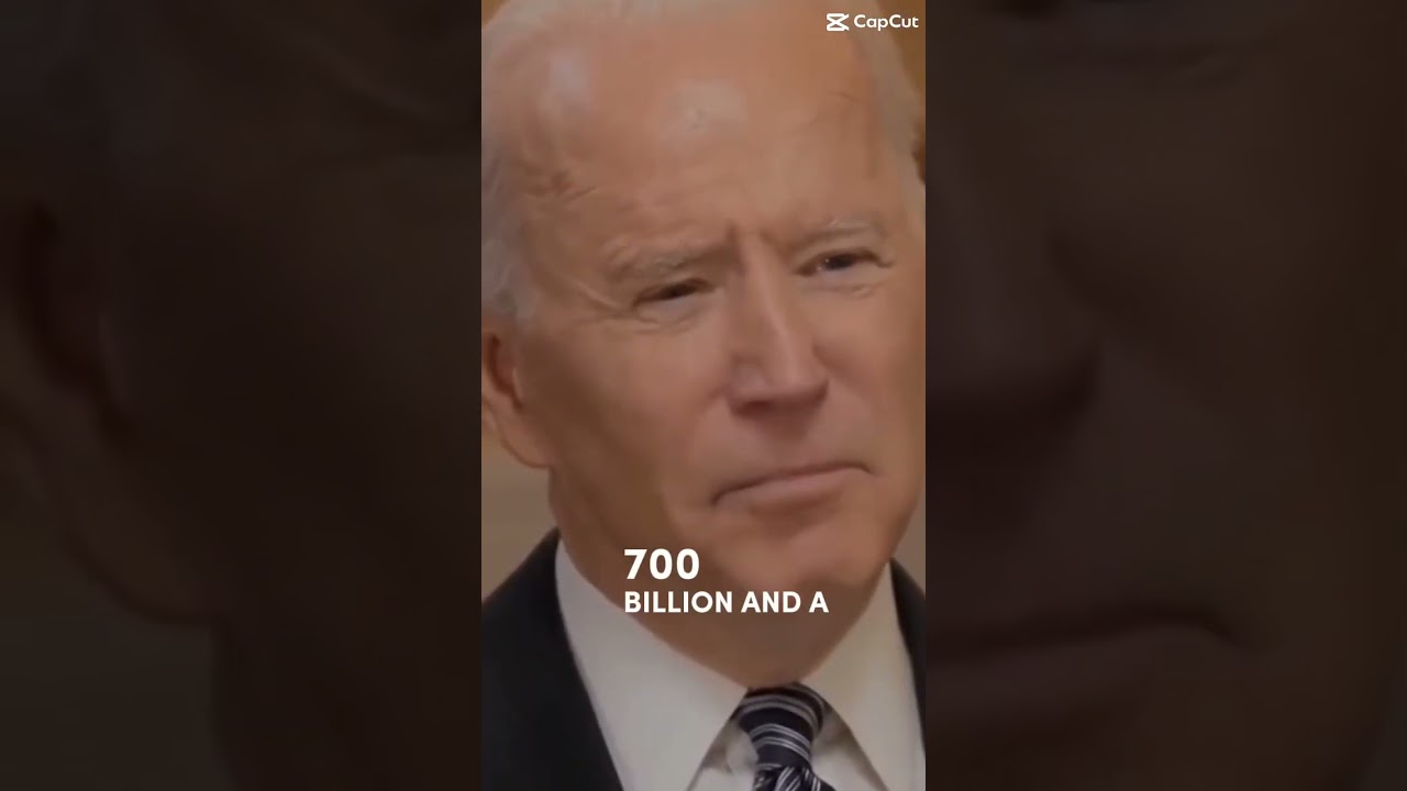 How much I’ve spent on my dog 