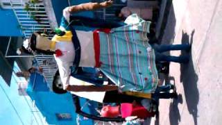 Ayotlan, Jalisco: Segundo Paseo 2010
