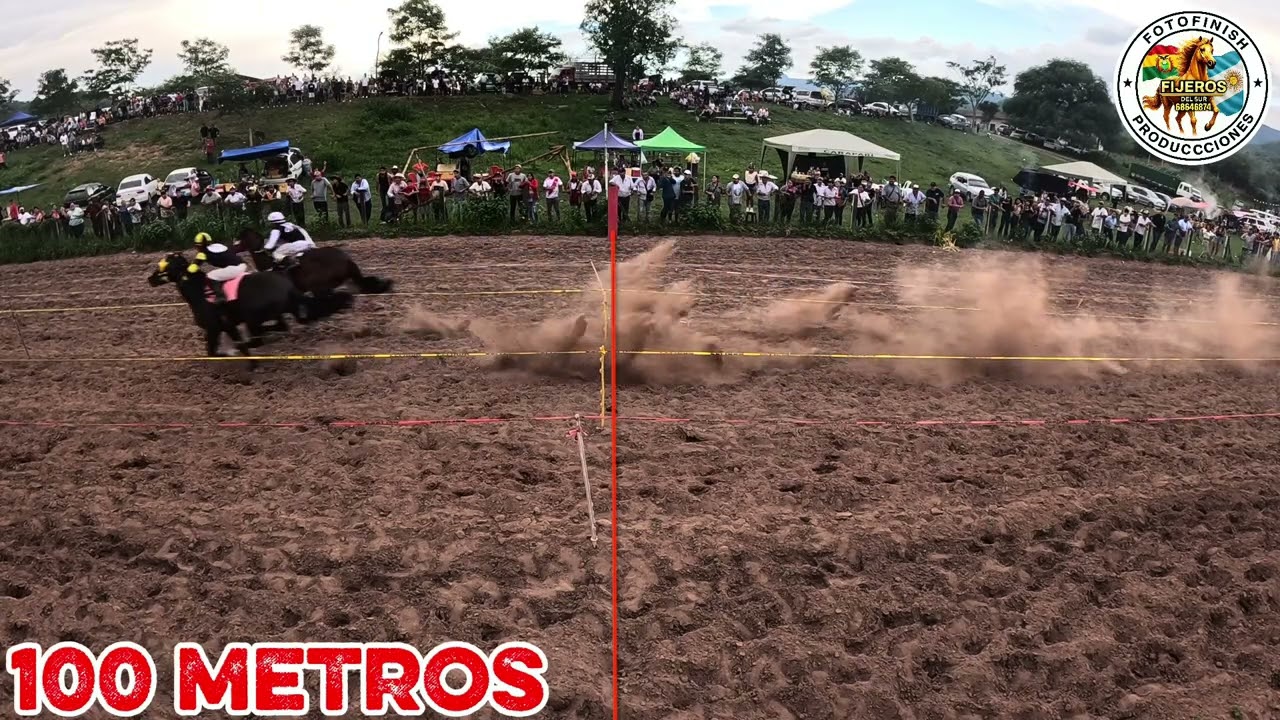 SIN CÓDIGO VS DON MARIO