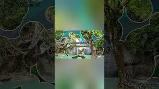 Apuse | Lagu Daerah Papua