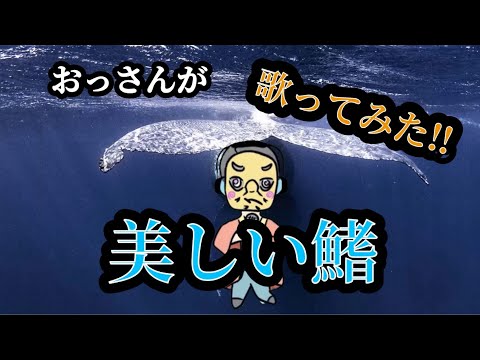【美しい鰭】スピッツを歌ってみた。劇場版コナン主題歌 ピアノVer【まるご】