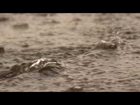 Tarrant County prepares for heavy rain