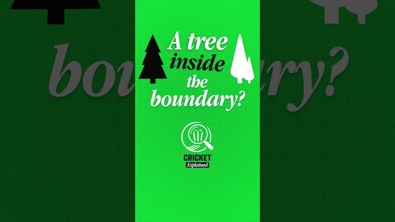 Hit the tree and get four runs! Is this one of cricket’s strangest rules? 🌳🏏