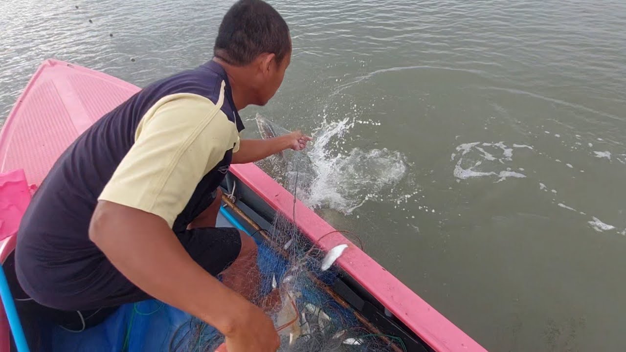 วางอวนปลากระบอกชายฝั่งทะเล ลูกชายปิดเทอมเลยมาช่วยถ่ายคลิป ปลาติดดีวันนี้ แต่ตากล้องเมาคลื่นEP.79