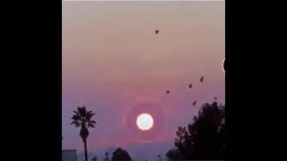 What if our sun will explode  || Clip of sun explosion