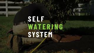 How Tree Planting Specialists Help Trees Thrive from Day One