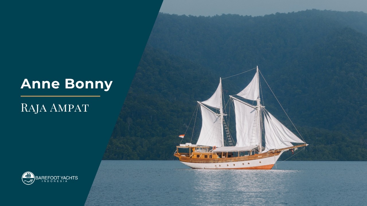 Raja Ampat & Komodo Yacht Charter | Anne Bonny