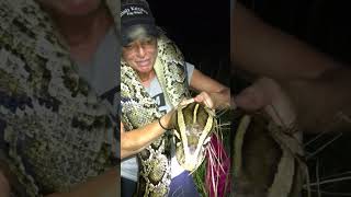 Amy Catches Huge 17 Foot Python