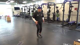 Active Backpedal Sticks