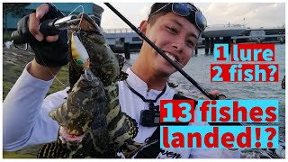Insane Grouper Frenzy! Never caught so many groupers before! screenshot 4