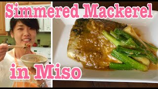 Saba Misoni Simmered Mackerel in Miso (with music) Saba Misoni Simmered Mackerel in Miso (with music)