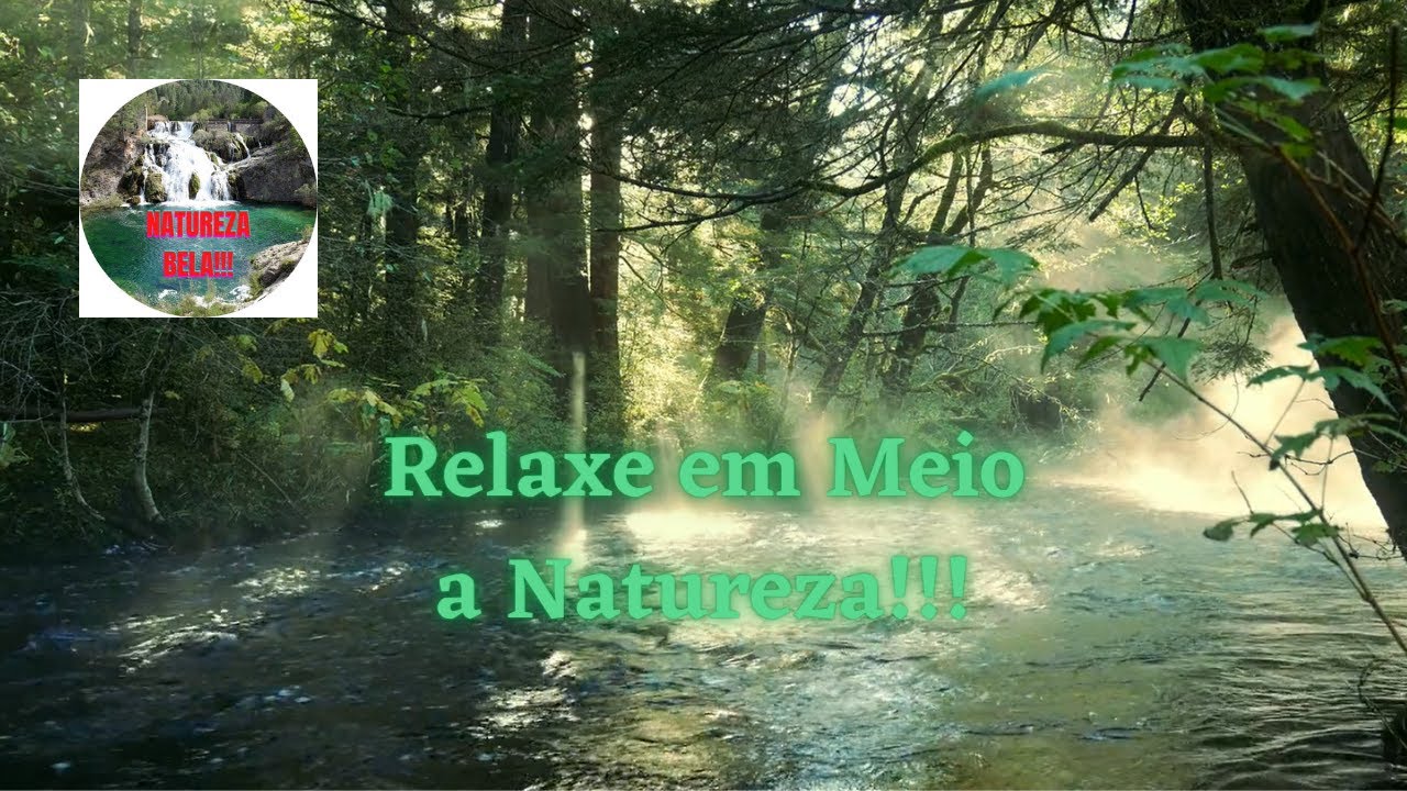 Musicas Que Falam Da Natureza - FDPLEARN