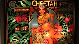 1980 Stern CHEETAH pinball machine