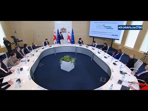 მთავრობის ანტიკრიზისული გეგმა