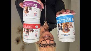 Pawzitive makes some geat products for our fur buddies!