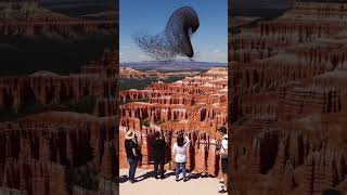 Amazing Birds In Sky,