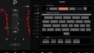 Tesla Autopilot Developer Options