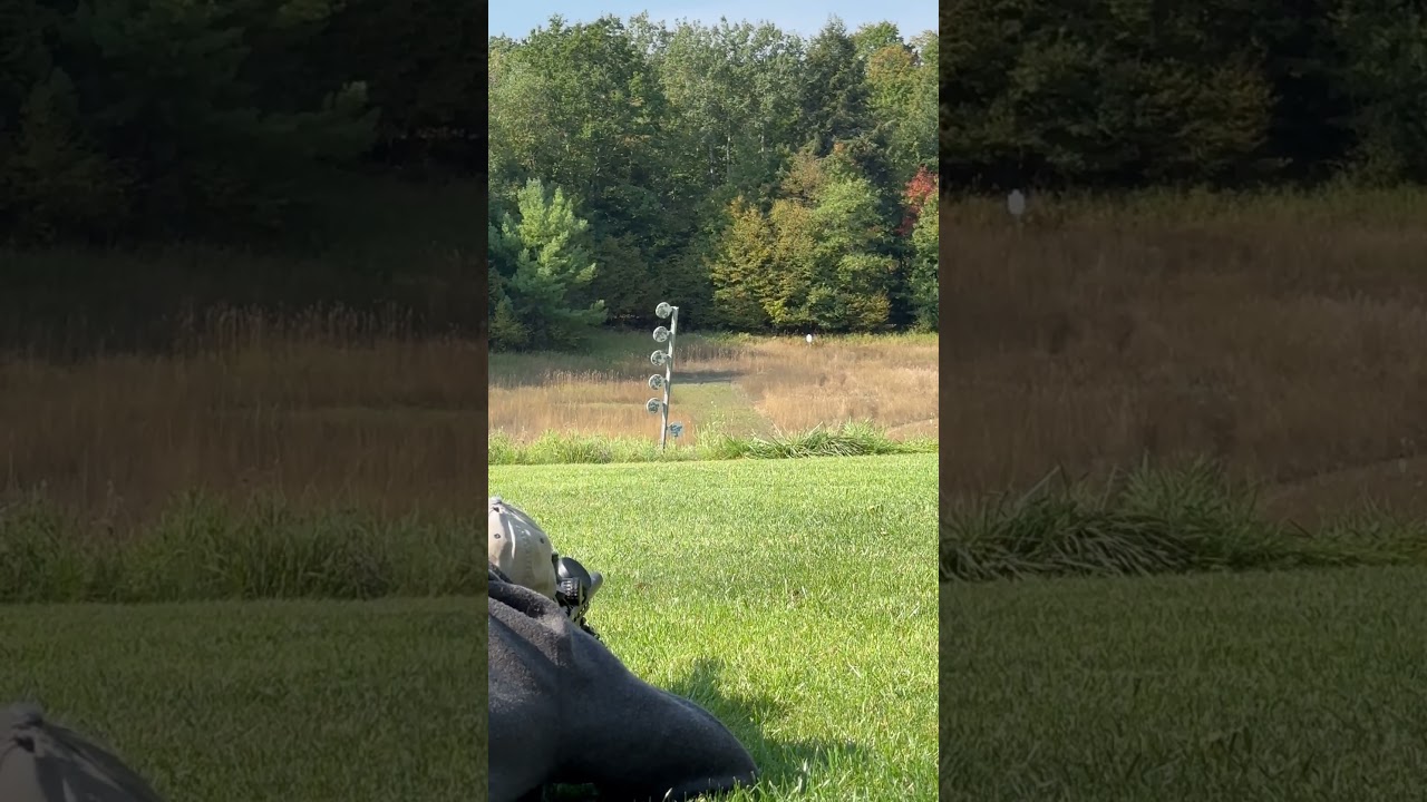 The Worlds Most Quiet Sniper Rifle - 8.6BLK