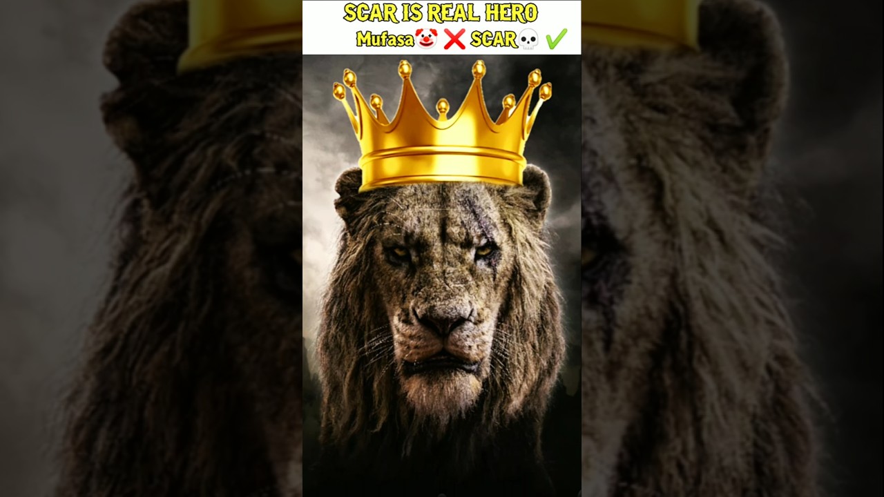 Scar (taka) The Real King 👑|| Dhokha 💔 || 