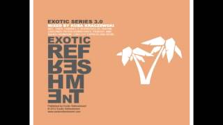 M.in - Who Said I&#39;m Crazy (Luna City Express Remix) (taken from Exotic Series 3.0)